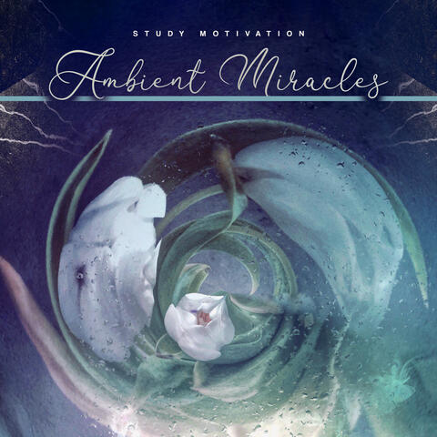 Ambient Miracles