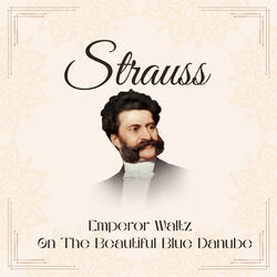 Tritsch-Tratsch-Polka, Op.214
