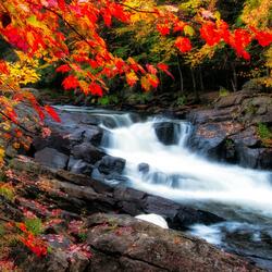 Diving in the waterfall