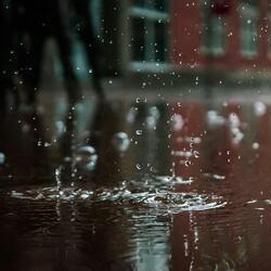 Relaxing in the rain.