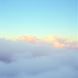 Dream Without Borders