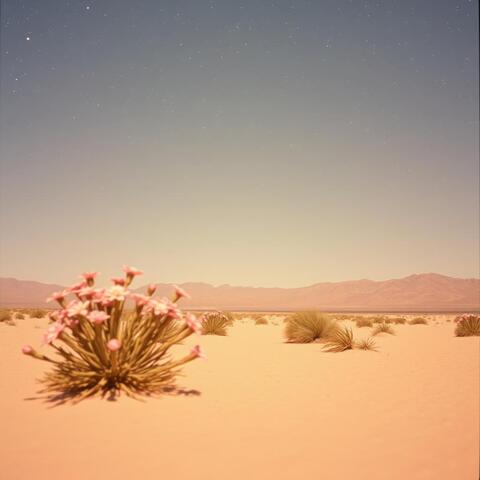 Devagar no Meu Coração