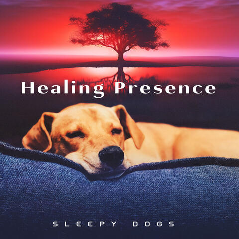 Healing Presence