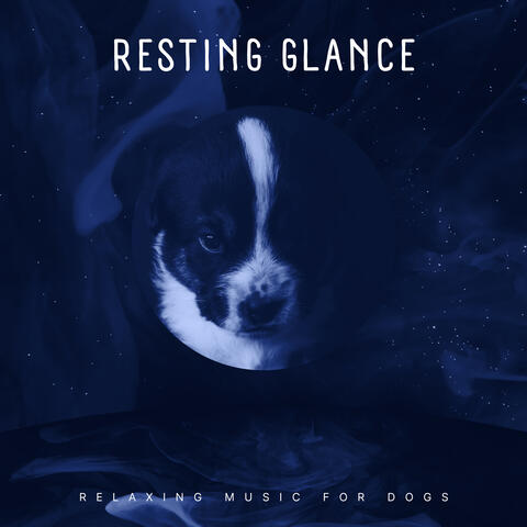 Resting Glance