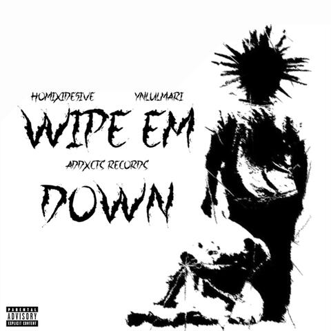 WIPE EM DOWN