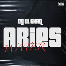 ARIES (WATER)