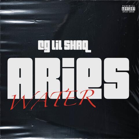 ARIES (WATER)