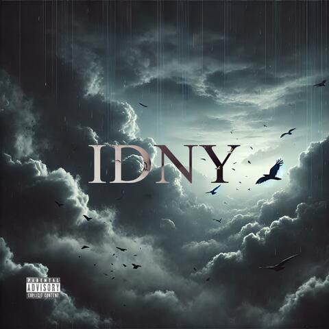 IDNY (I Don’t Need You)