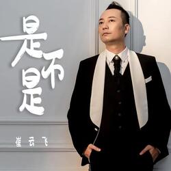 是不是 (DJheap九天版) [伴奏版]