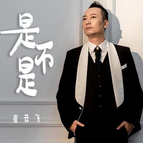 是不是 (DJheap九天版)