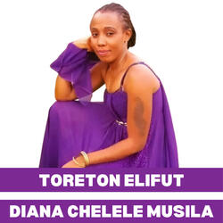 Toreton Elifut