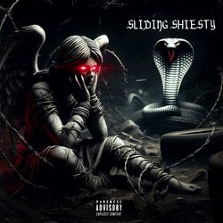 Sliding Shiesty