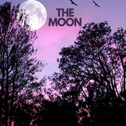 The Moon