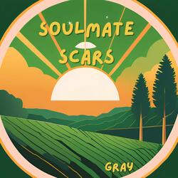 Soulmate Scars