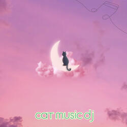 Catnip Sonata