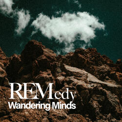 Wandering Minds