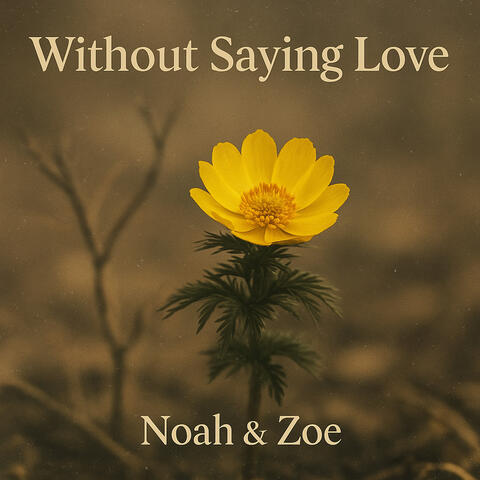 Without Saying Love
