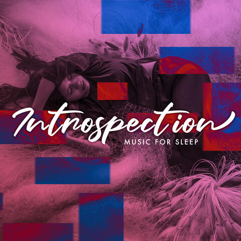 Introspection