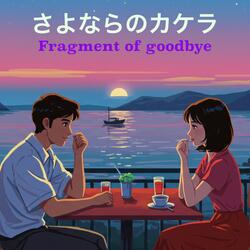 Fragment of goodbye