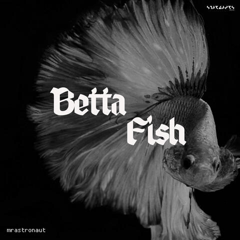 Betta Fish