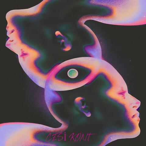 Section 8 Supervillain