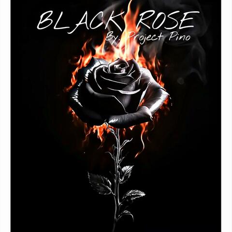 Black Rose