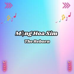 MỘNG HOA SIM