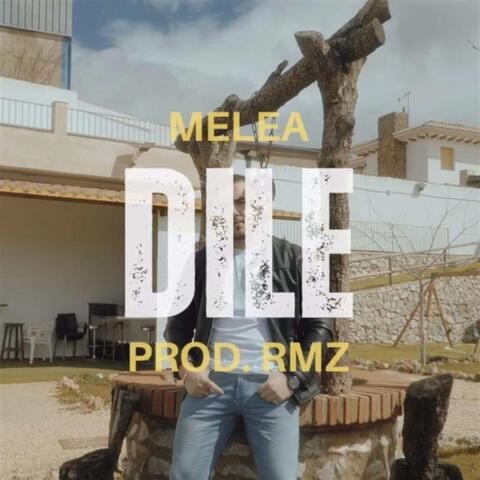 DILE