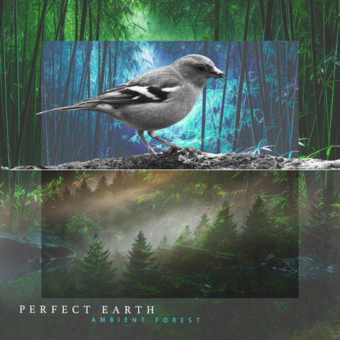 Perfect Earth