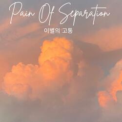 이별의 고통 (Pain Of Separation)