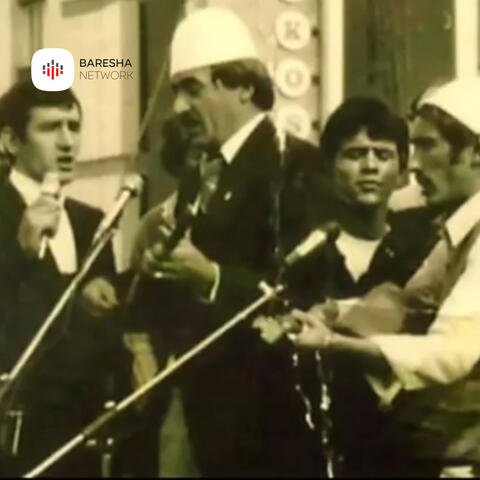 Halit Gashi