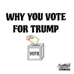 WHY YOU VOTE FOR TRUMP