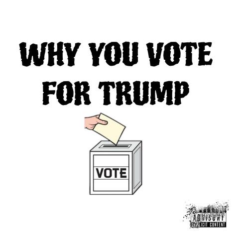 WHY YOU VOTE FOR TRUMP