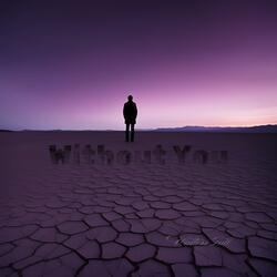 Without You