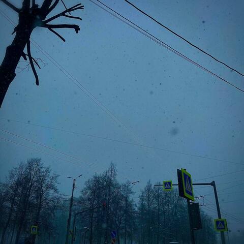 Bright Dream