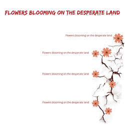 Flowers Blooming on the Desperate Land