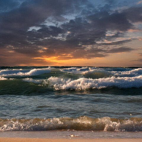 Surfs Up