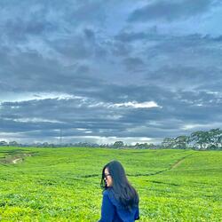 I Can’t Seem To Get You Off My Mind