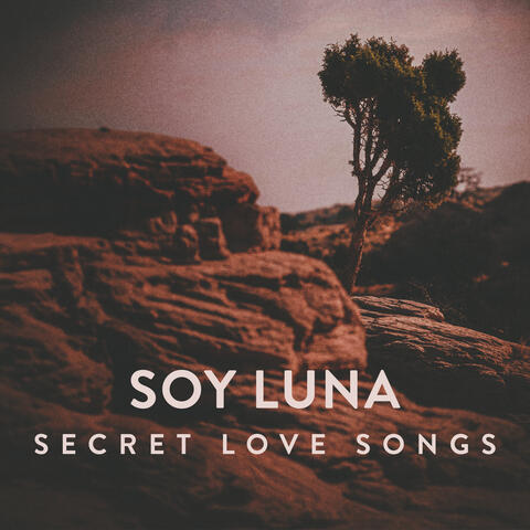 Secret Love Songs