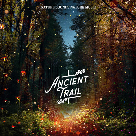 Ancient Trail