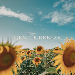 Gentle Breeze