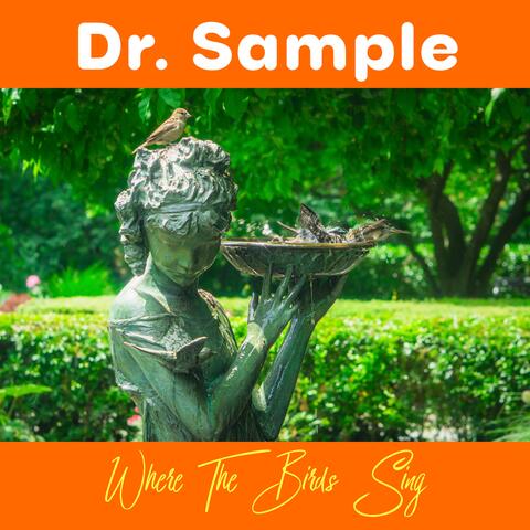 Where The Birds Sing