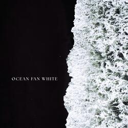 Ocean Fan White