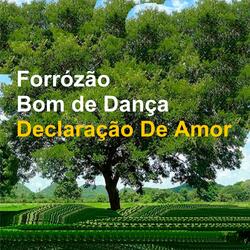 Declaração De Amor