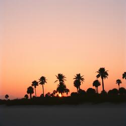 Moonlit Haze For Couples Twilight