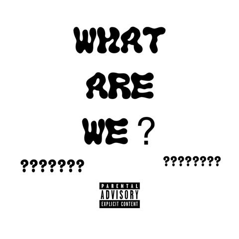 What Are We ?