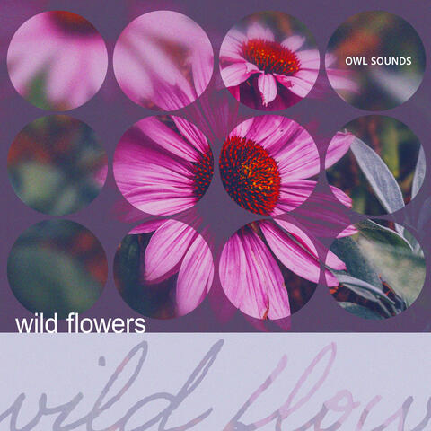 Wild Flowers