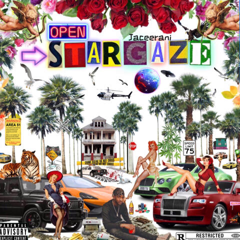 Star Gaze
