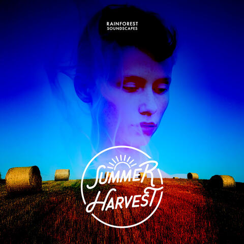Summer Harvest