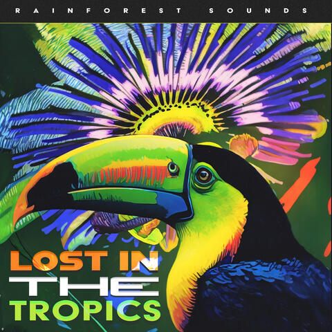 Lost in the Tropics